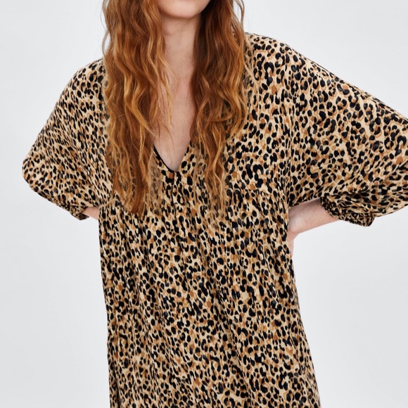 Zara Dresses & Skirts - Leopard print dress by ZARA